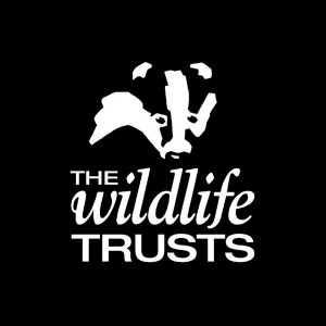 logo-wildlife-trust-new